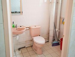 Blk 239 Compassvale Plains (Sengkang), HDB 4 Rooms #618679511